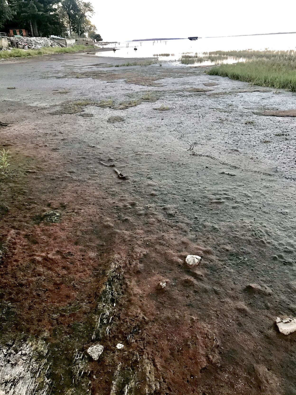 A clogged bay